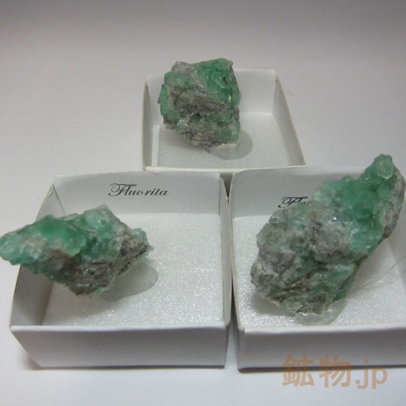 鉱物.jp / グリーンフローライトミニクラスター/蛍石 鉱物標本 1個